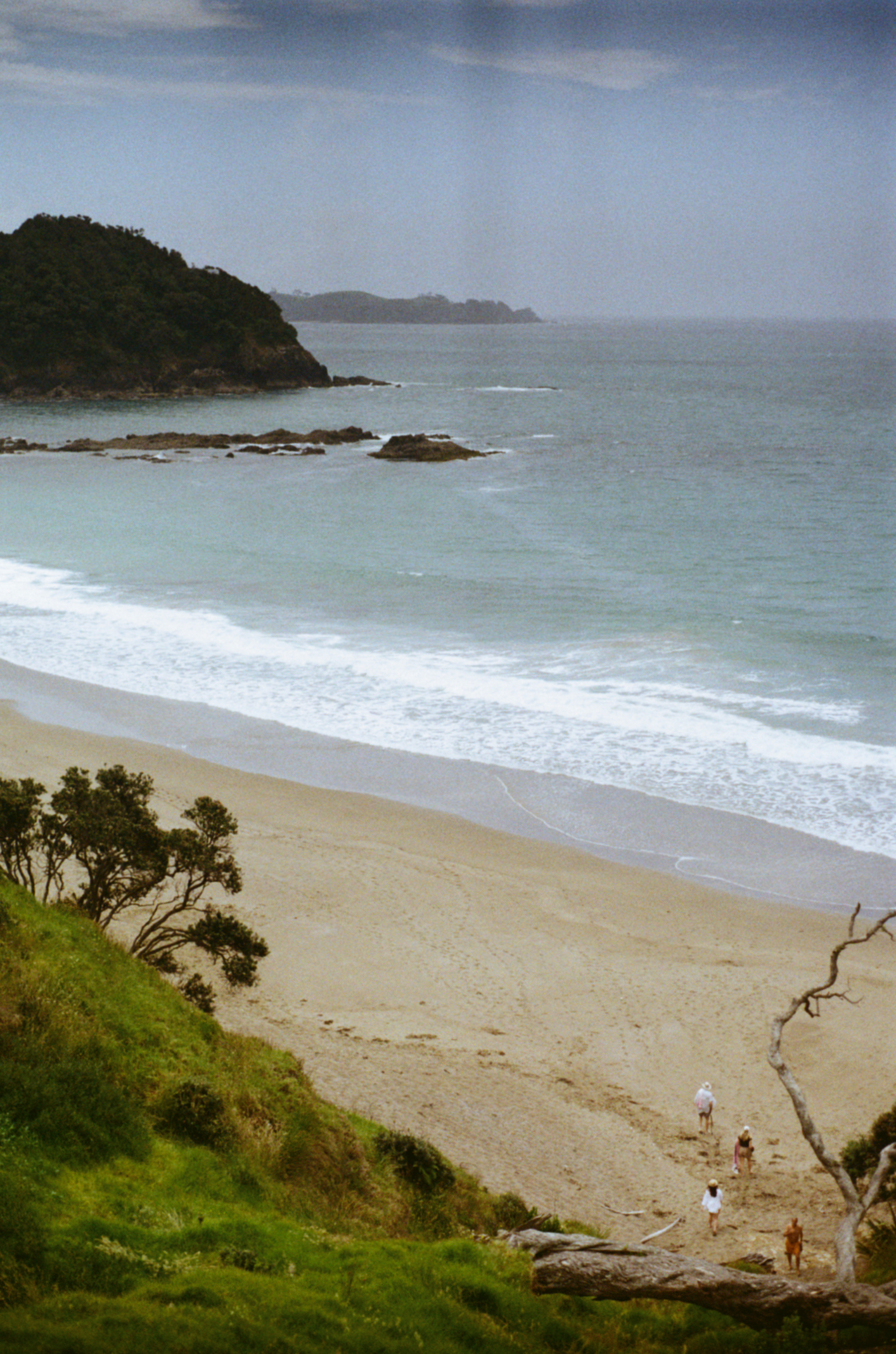 daisy bay