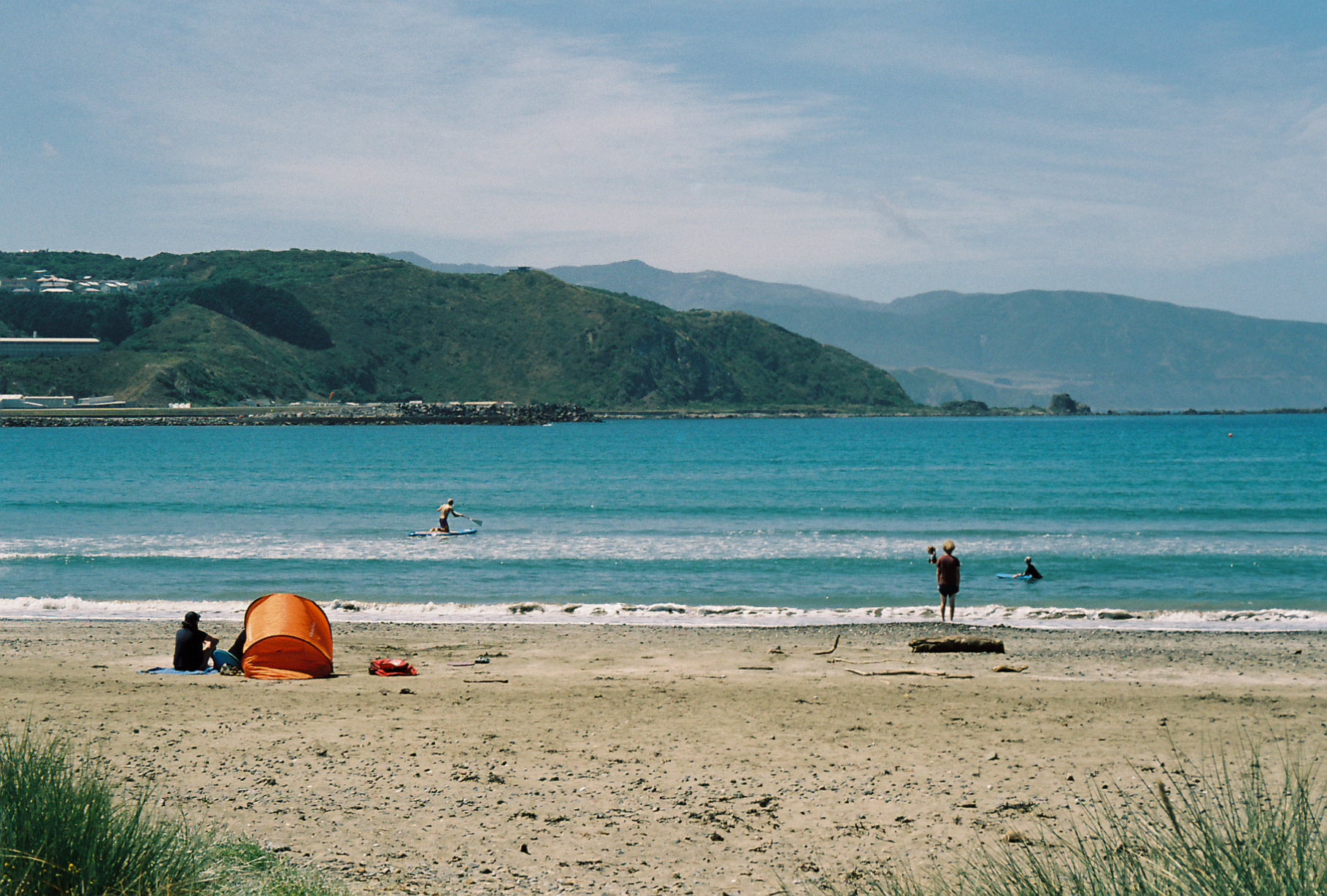 lyall bay, wellington